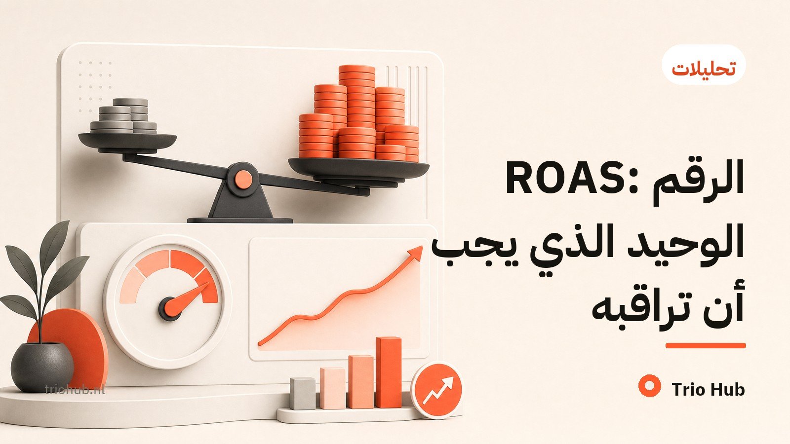 ROAS: الرقم الوحيد